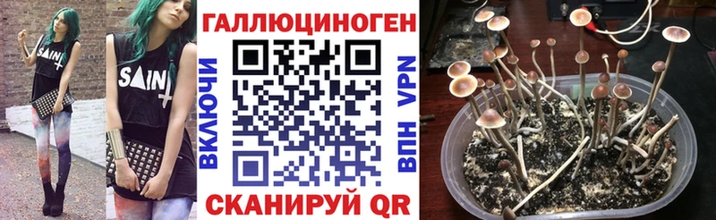 Галлюциногенные грибы мухоморы Ардон