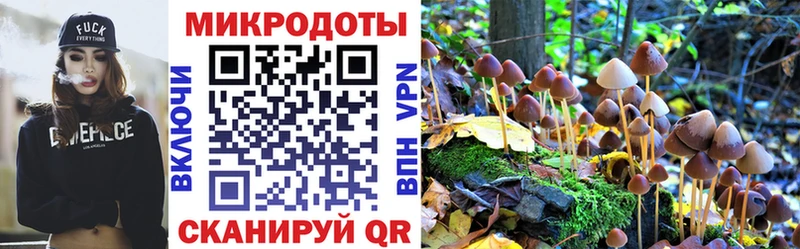 Псилоцибиновые грибы Magic Shrooms  это клад  Ардон 